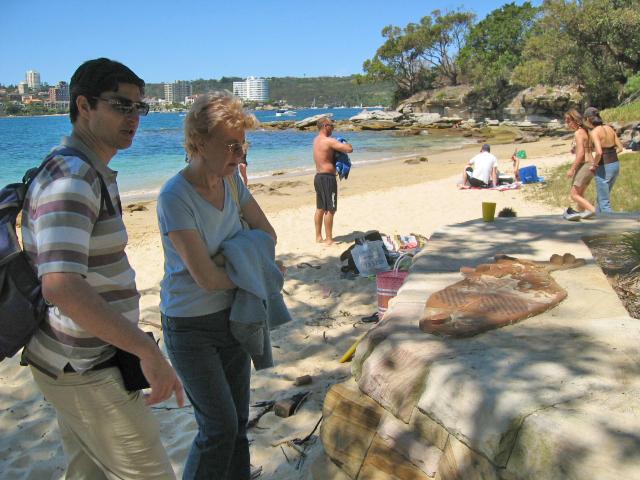 A 046 Promenade autour de Manly.jpg